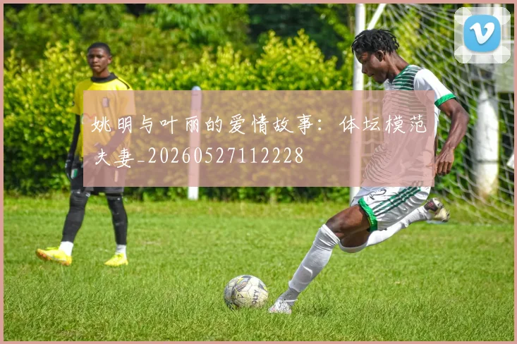 姚明与叶丽的爱情故事:体坛模范夫妻_20260527112228